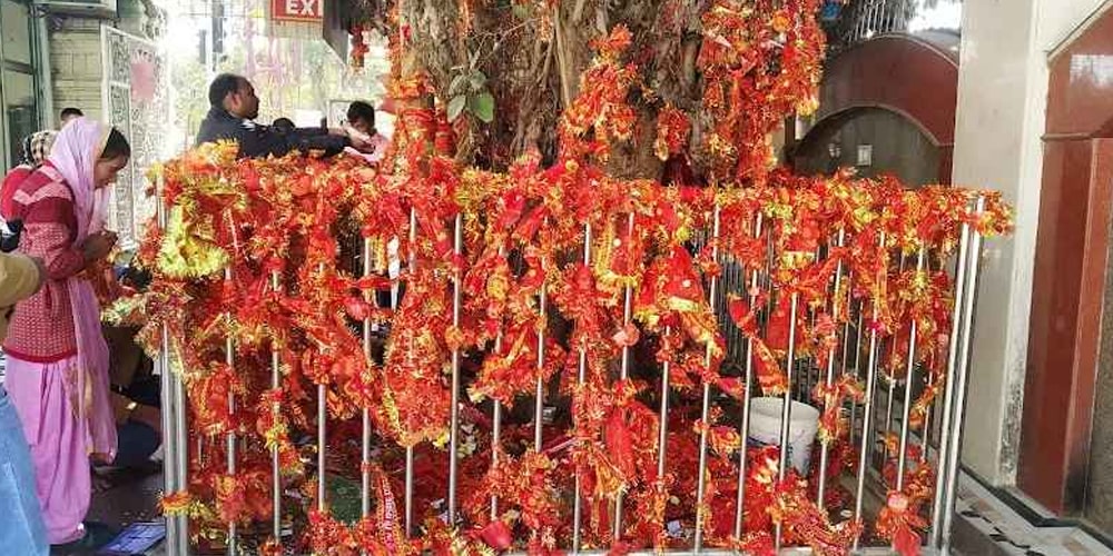 Top Resorts in Chattarpur, Delhi